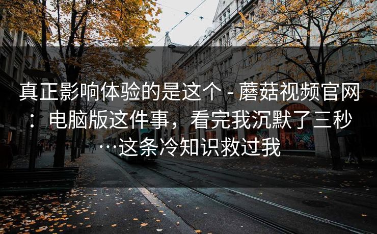 真正影响体验的是这个 - 蘑菇视频官网：电脑版这件事，看完我沉默了三秒…这条冷知识救过我