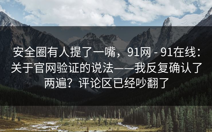 安全圈有人提了一嘴，91网 - 91在线：关于官网验证的说法——我反复确认了两遍？评论区已经吵翻了