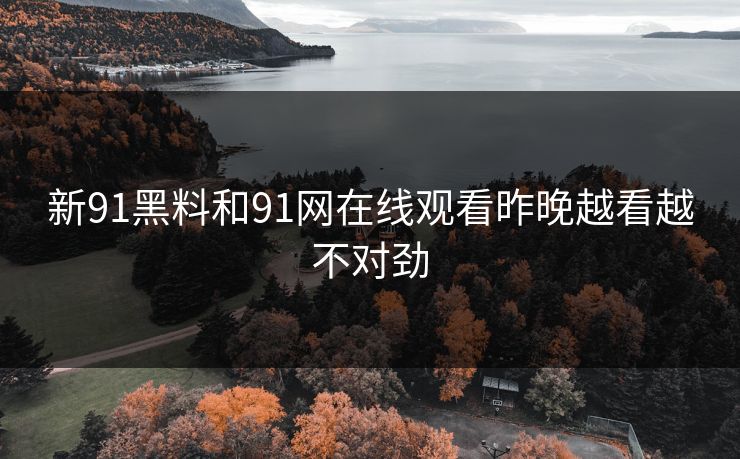 新91黑料和91网在线观看昨晚越看越不对劲